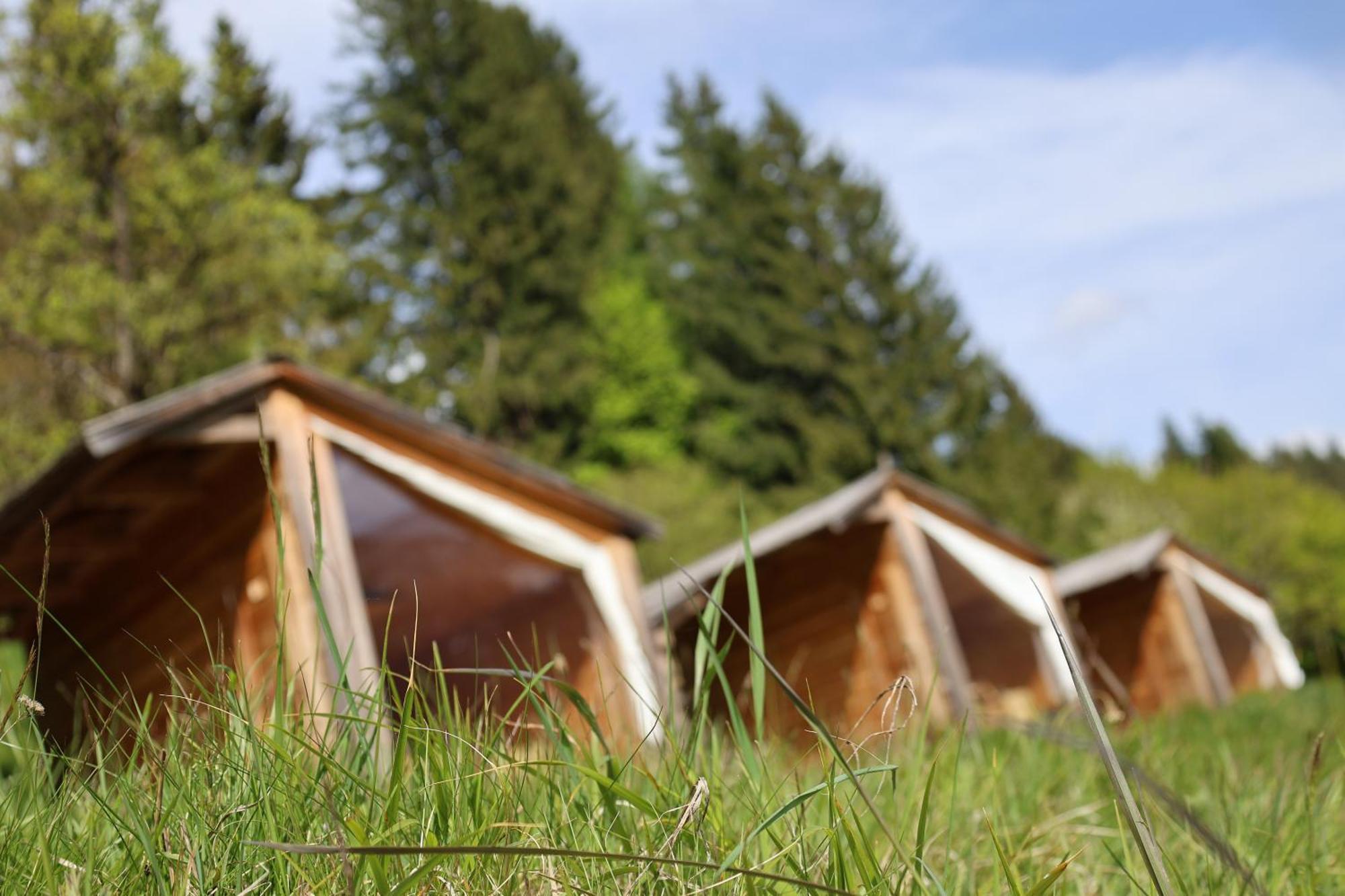 Mountain View Glamping Villa Dovje Exterior foto