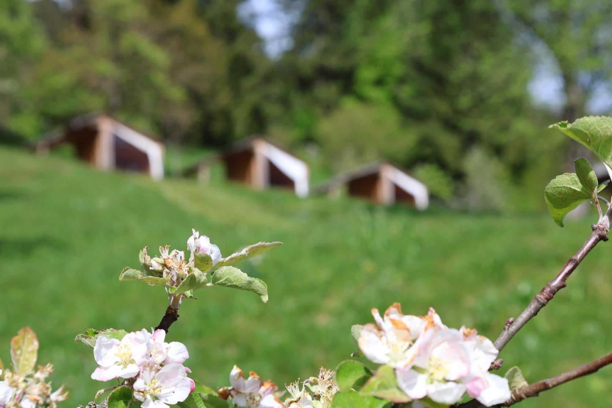 Mountain View Glamping Villa Dovje Exterior foto