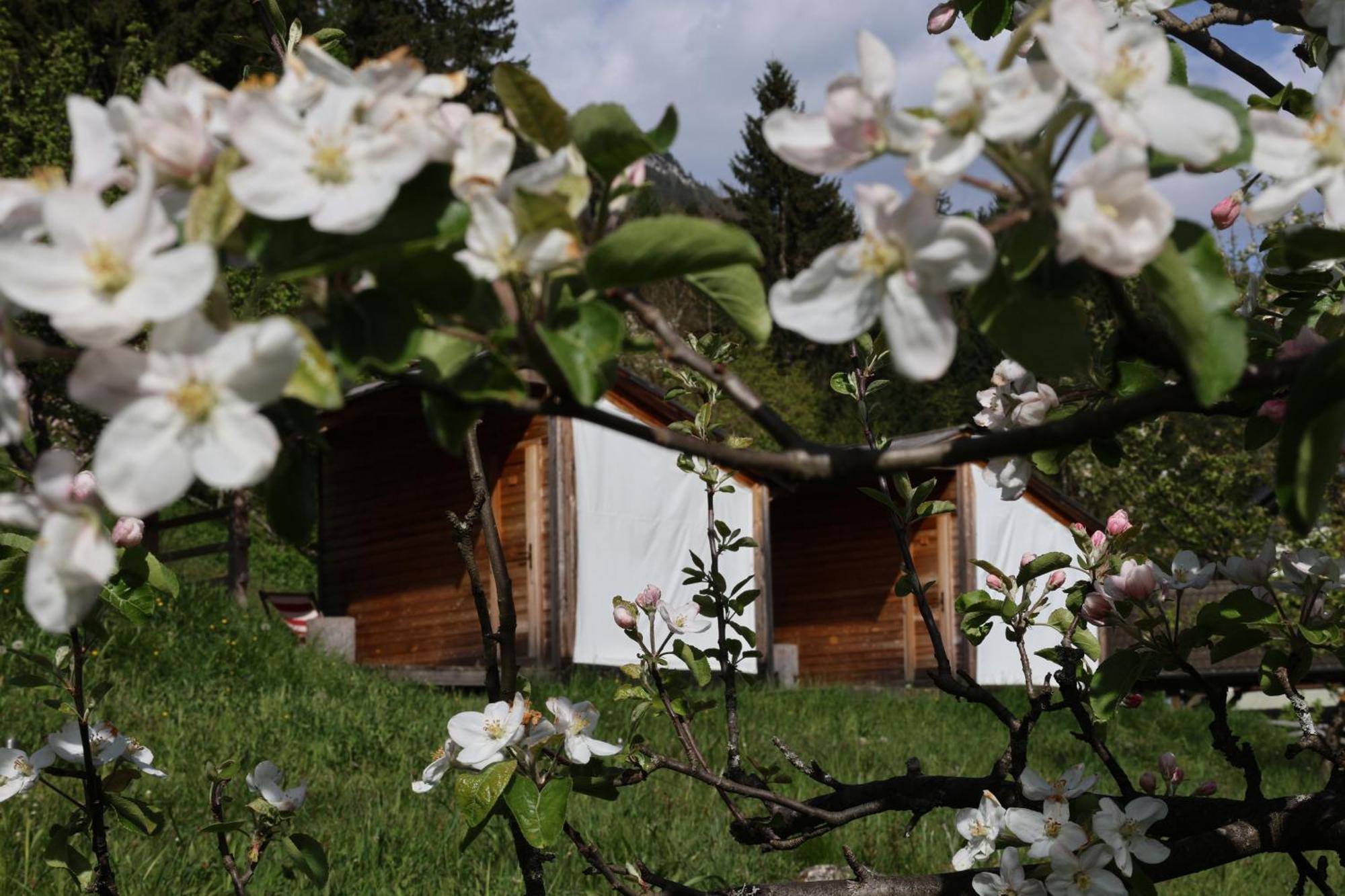 Mountain View Glamping Villa Dovje Exterior foto