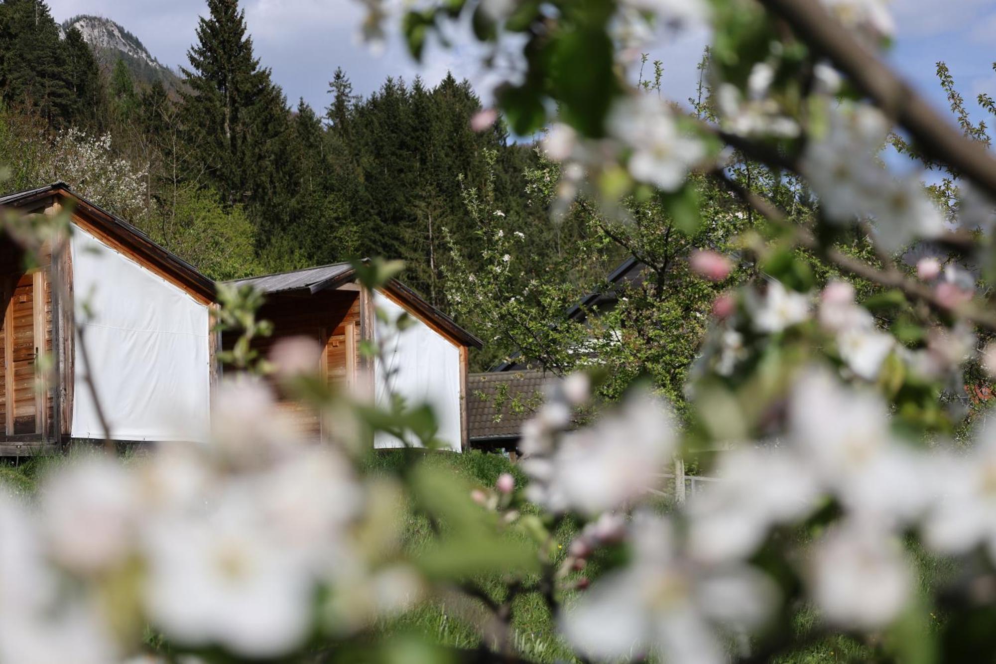 Mountain View Glamping Villa Dovje Exterior foto