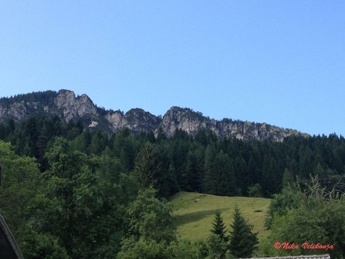 Mountain View Glamping Villa Dovje Exterior foto